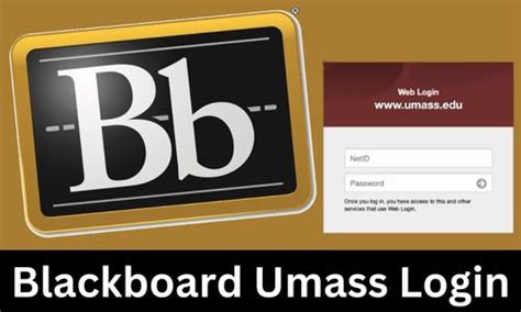 Log on to SPIRE with your NetID and password. . Umass blackboard